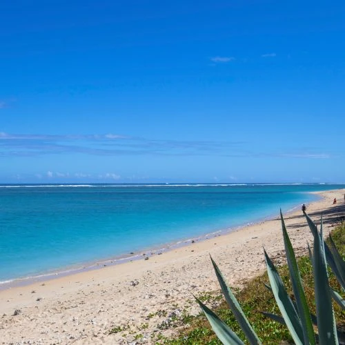 vue de la plage la saline