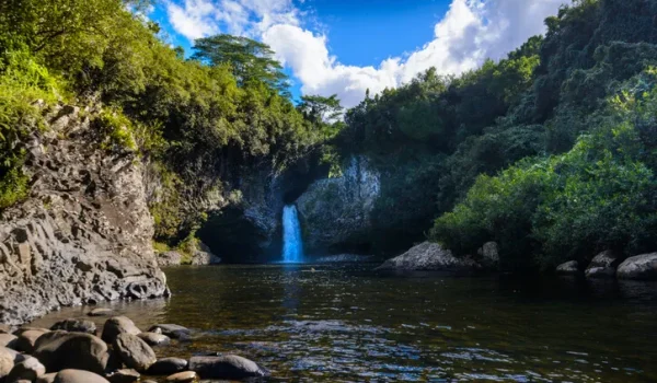 cascade bassin la mer la réunion