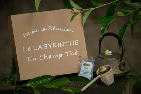 Champ thye ile de la reunion