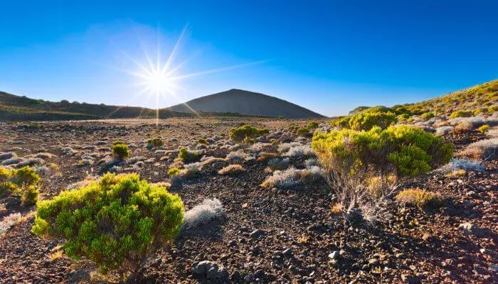 Desert la Réunion