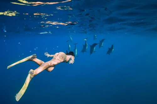 Exploration sous marine La reunion