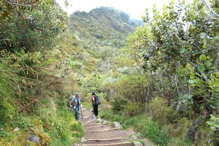 Randonnée Cirque de Mafate