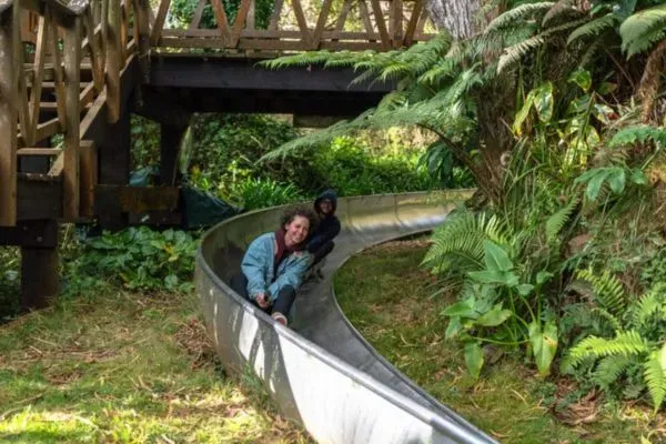 Parc de la luge la reunion