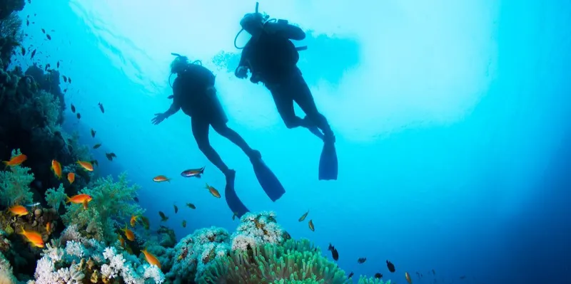 Plongee sous marine La Reunion