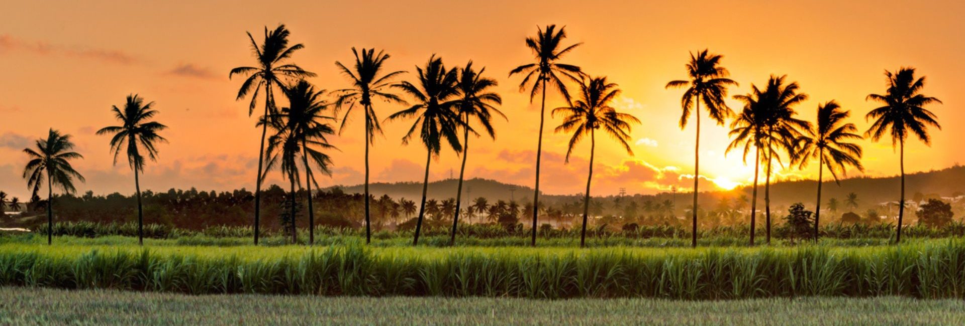Où voir le coucher de soleil à la Réunion ?