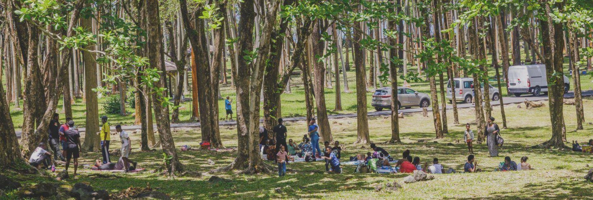 L’Île de la Réunion en Famille : Conseils et Bons plans