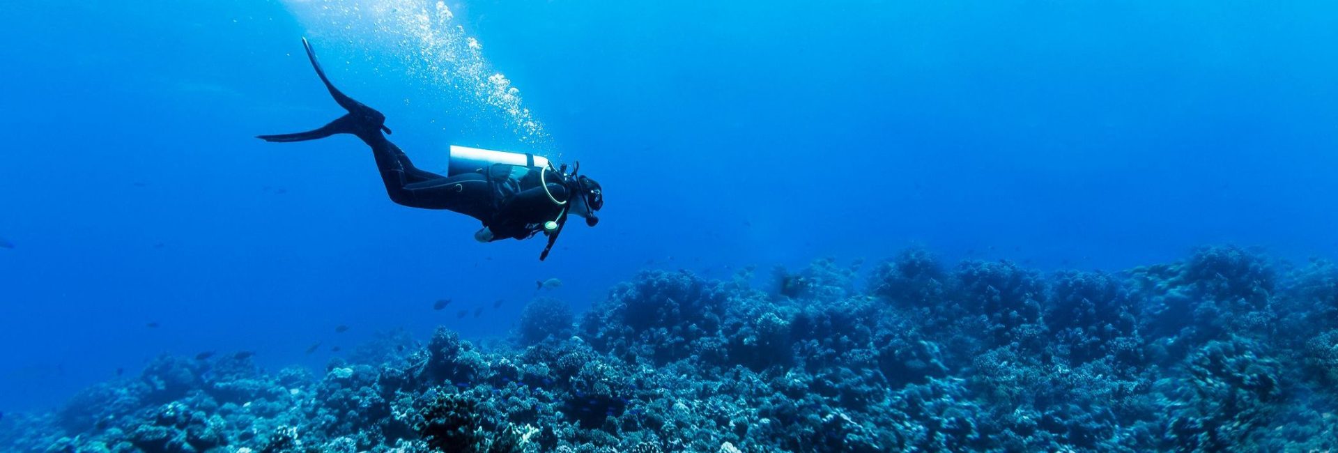Découvrez la plongée sous-marine à La Réunion