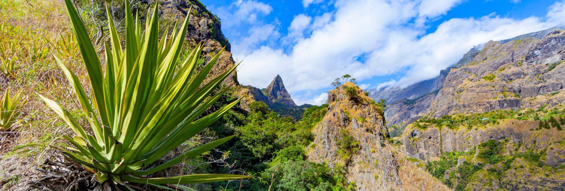 Que faire à la Réunion ? Un paradis d’aventures et de découvertes